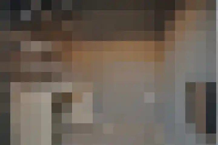 Tricotstraat 47 Geldrop thumbnail 37