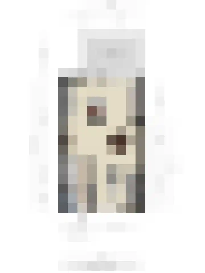 Tricotstraat 47 Geldrop thumbnail 43