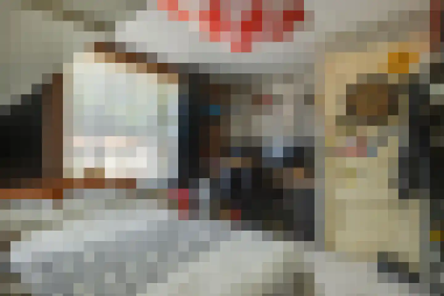 Tricotstraat 63 Geldrop thumbnail 18