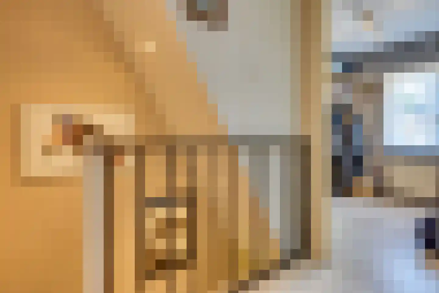 Tricotstraat 63 Geldrop thumbnail 21