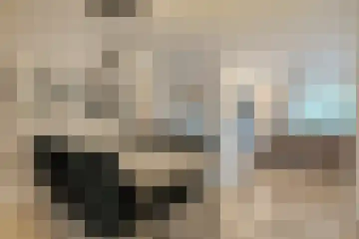 Tricotstraat 69 Geldrop thumbnail 13