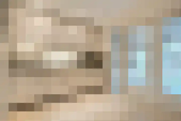 Tricotstraat 69 Geldrop thumbnail 15