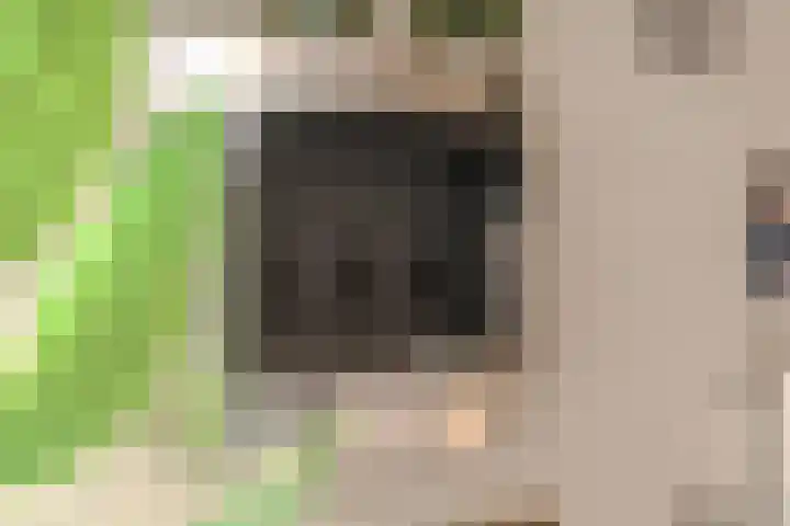 Tricotstraat 69 Geldrop thumbnail 22