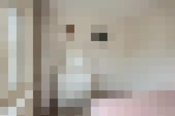 Tricotstraat 69 Geldrop thumbnail 26