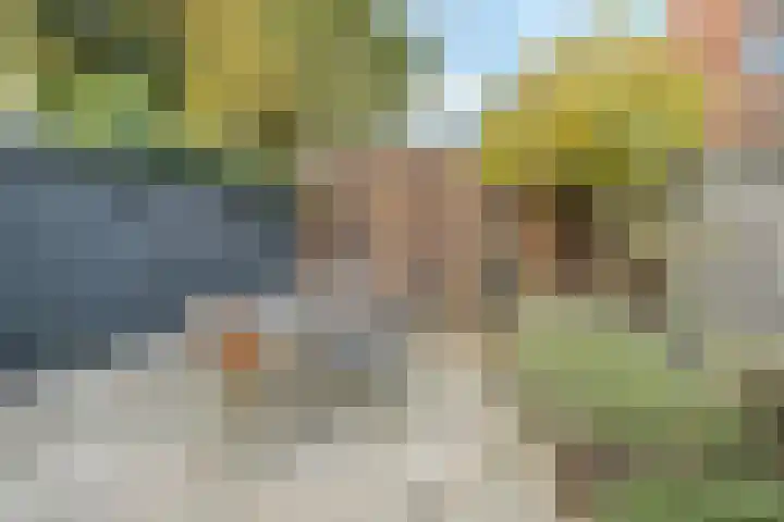 Tricotstraat 69 Geldrop thumbnail 31