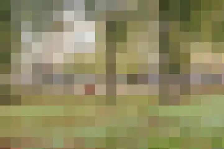 Tricotstraat 69 Geldrop thumbnail 36