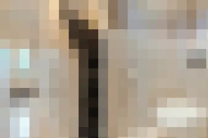 Tricotstraat 69 Geldrop thumbnail 6