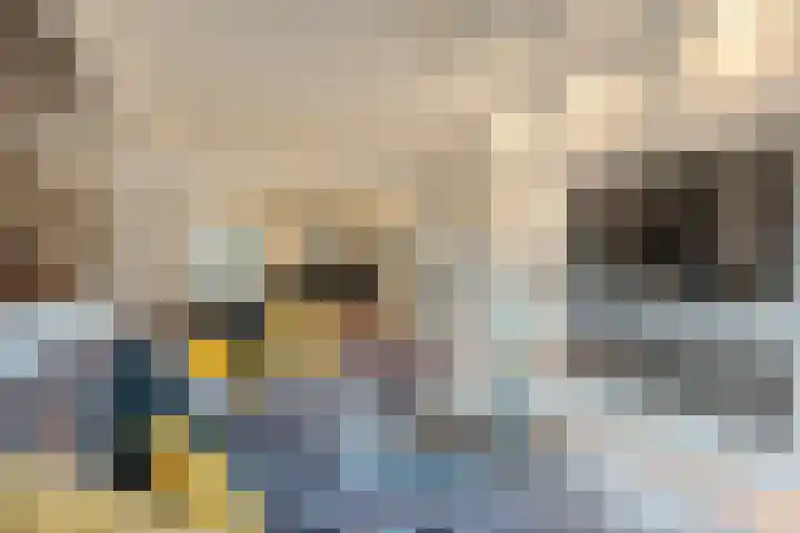 Tricotstraat 69 Geldrop thumbnail 9