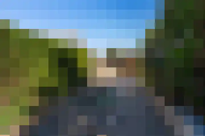 Triemsterloane 1 Kollumersweach thumbnail 13