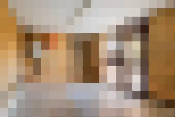 Triemsterloane 1 Kollumersweach thumbnail 16