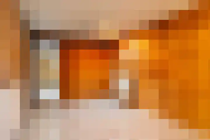 Triemsterloane 1 Kollumersweach thumbnail 17