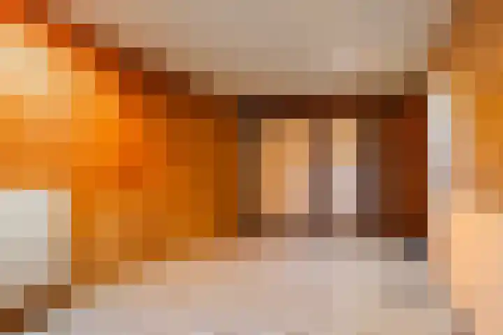 Triemsterloane 1 Kollumersweach thumbnail 18