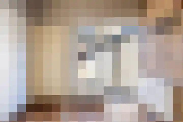 Triemsterloane 1 Kollumersweach thumbnail 19