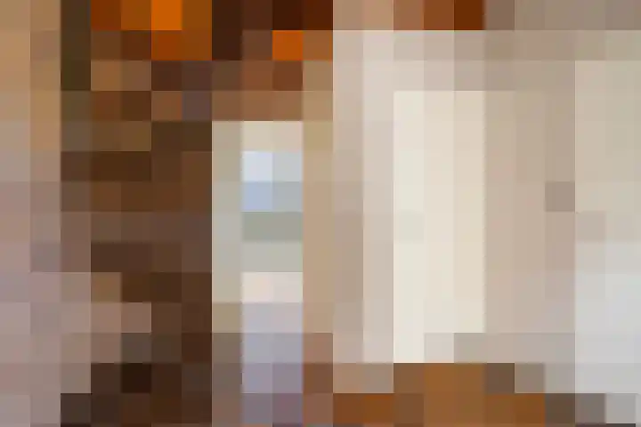 Triemsterloane 1 Kollumersweach thumbnail 20