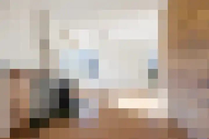 Triemsterloane 1 Kollumersweach thumbnail 27