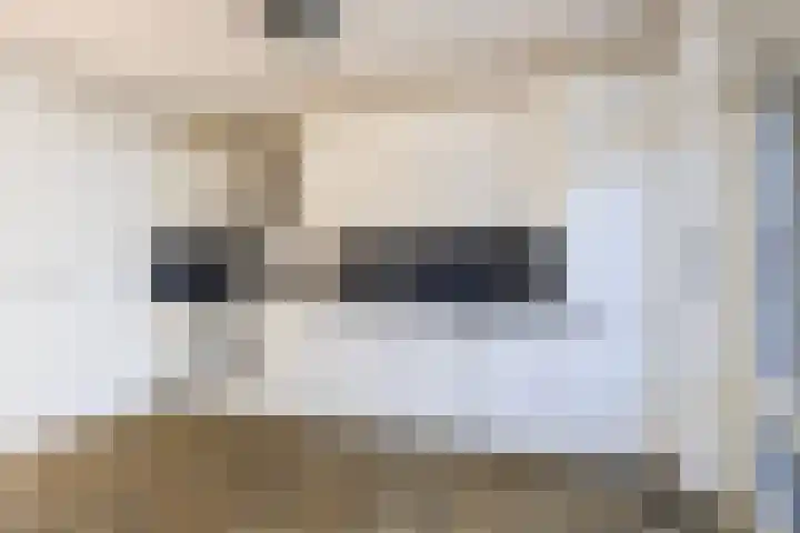 Triemsterloane 1 Kollumersweach thumbnail 29