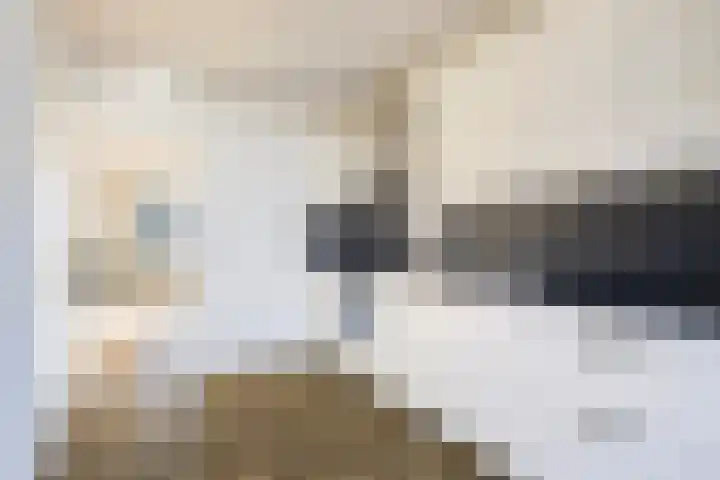 Triemsterloane 1 Kollumersweach thumbnail 30