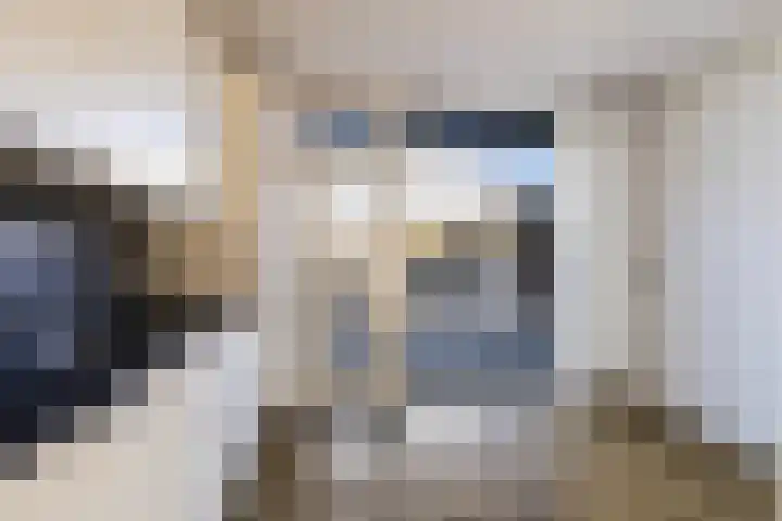 Triemsterloane 1 Kollumersweach thumbnail 31
