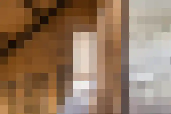 Triemsterloane 1 Kollumersweach thumbnail 34