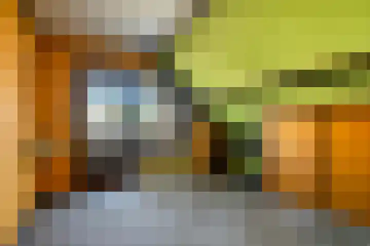 Triemsterloane 1 Kollumersweach thumbnail 35