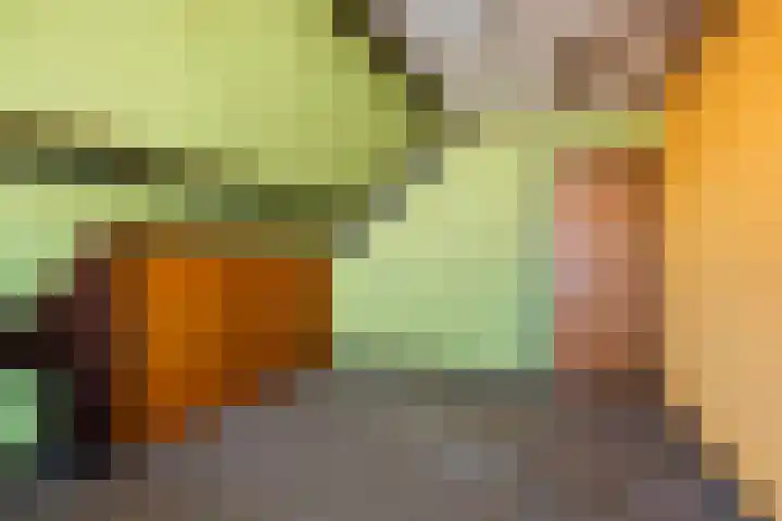 Triemsterloane 1 Kollumersweach thumbnail 36