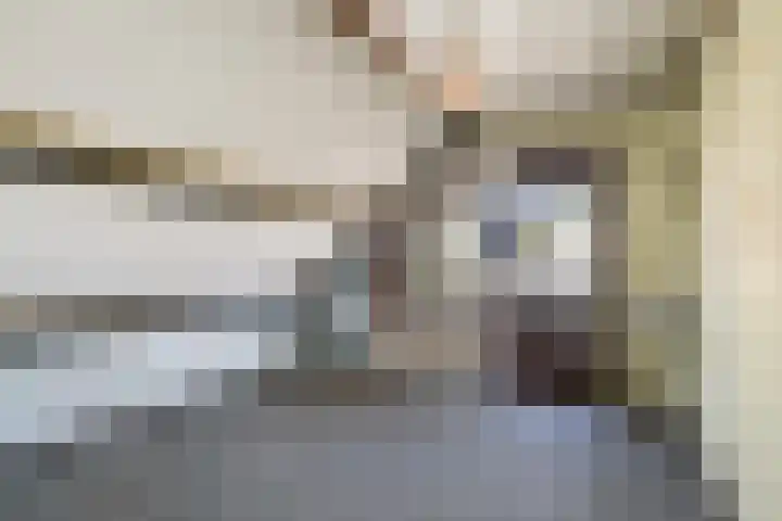 Triemsterloane 1 Kollumersweach thumbnail 37