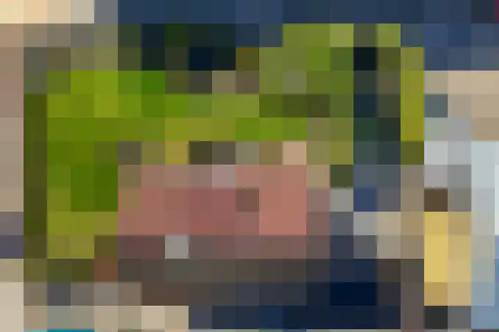 Triemsterloane 1 Kollumersweach thumbnail 4