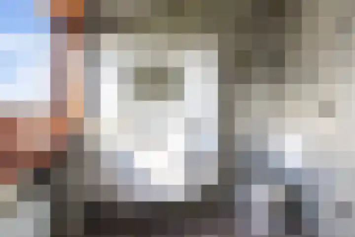 Triemsterloane 1 Kollumersweach thumbnail 43