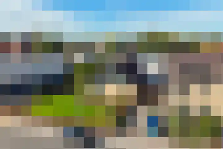Triemsterloane 1 Kollumersweach thumbnail 45