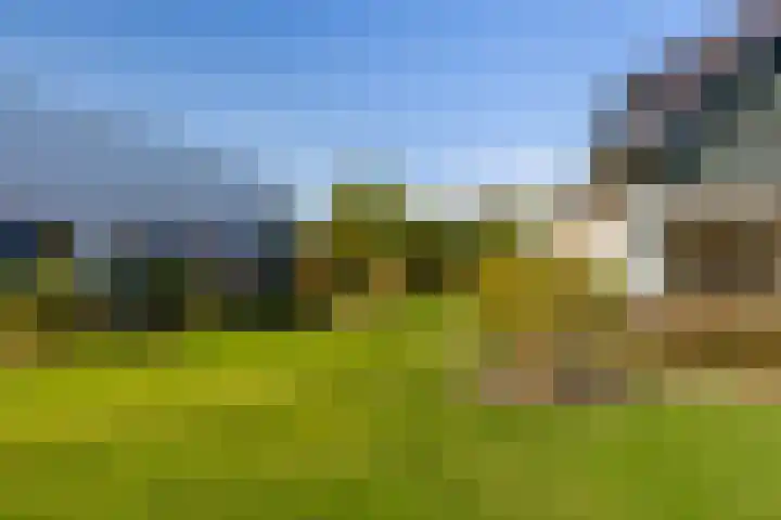 Triemsterloane 1 Kollumersweach thumbnail 8