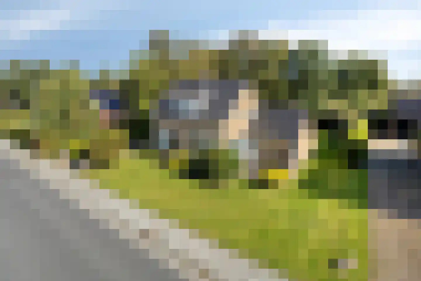 Triemsterloane 4 Kollumersweach foto 2