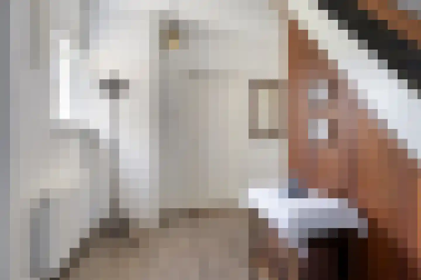 Triemsterloane 4 Kollumersweach thumbnail 32
