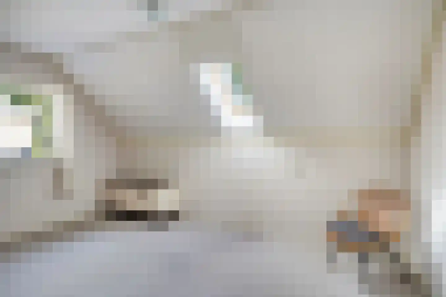 Triemsterloane 4 Kollumersweach thumbnail 36