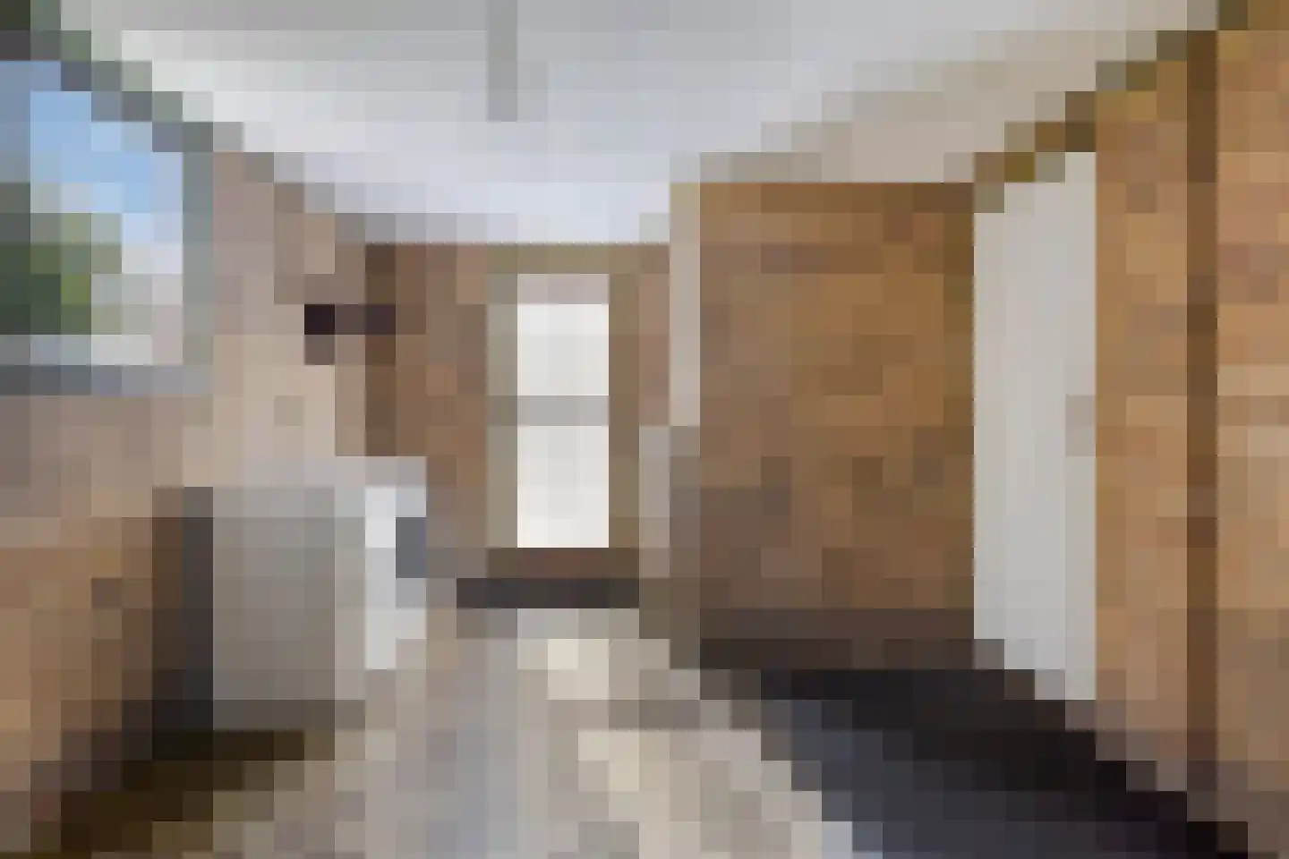 Triemsterloane 4 Kollumersweach thumbnail 54