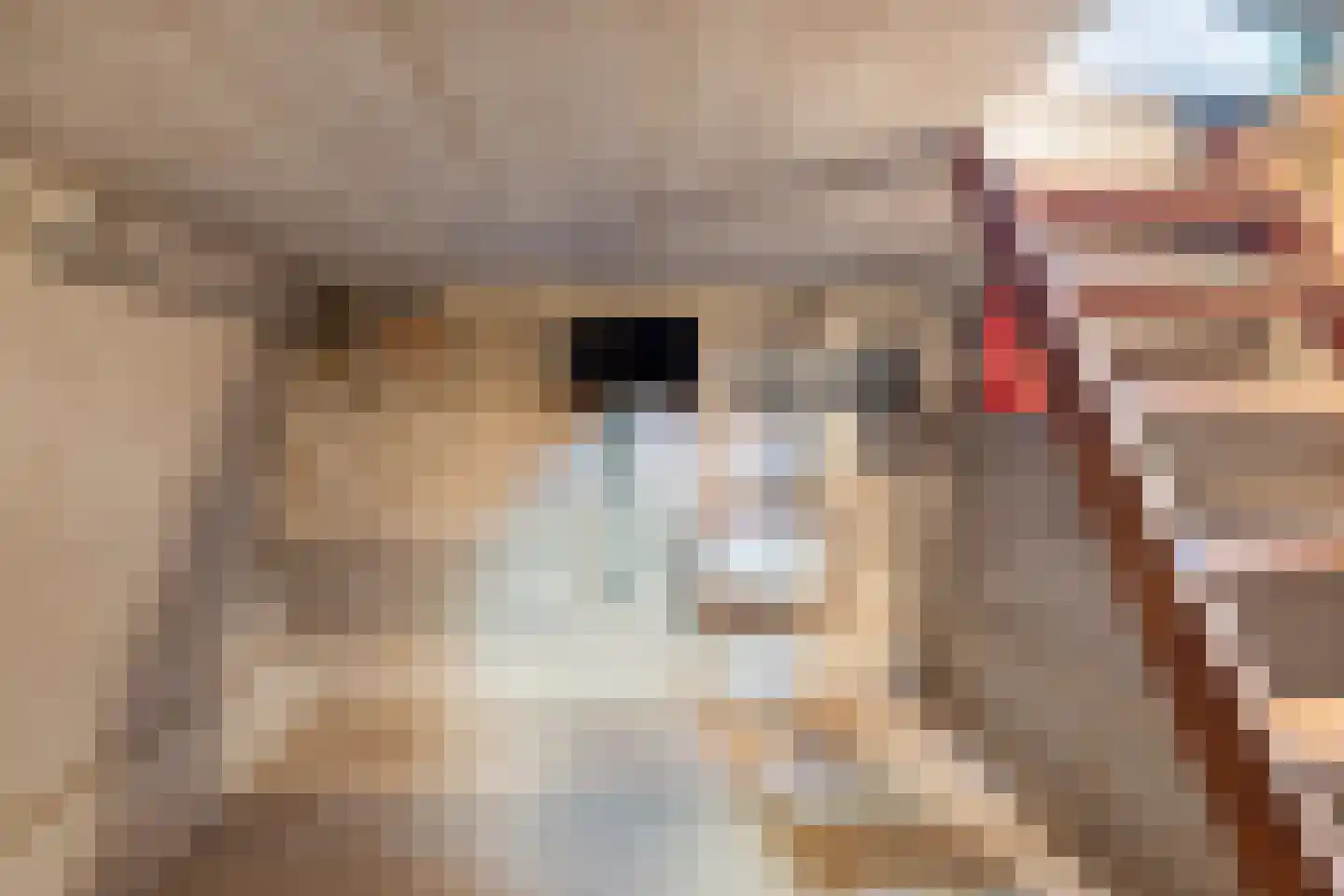 Triemsterloane 4 Kollumersweach thumbnail 57