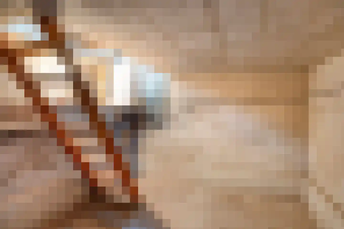 Triemsterloane 4 Kollumersweach thumbnail 58