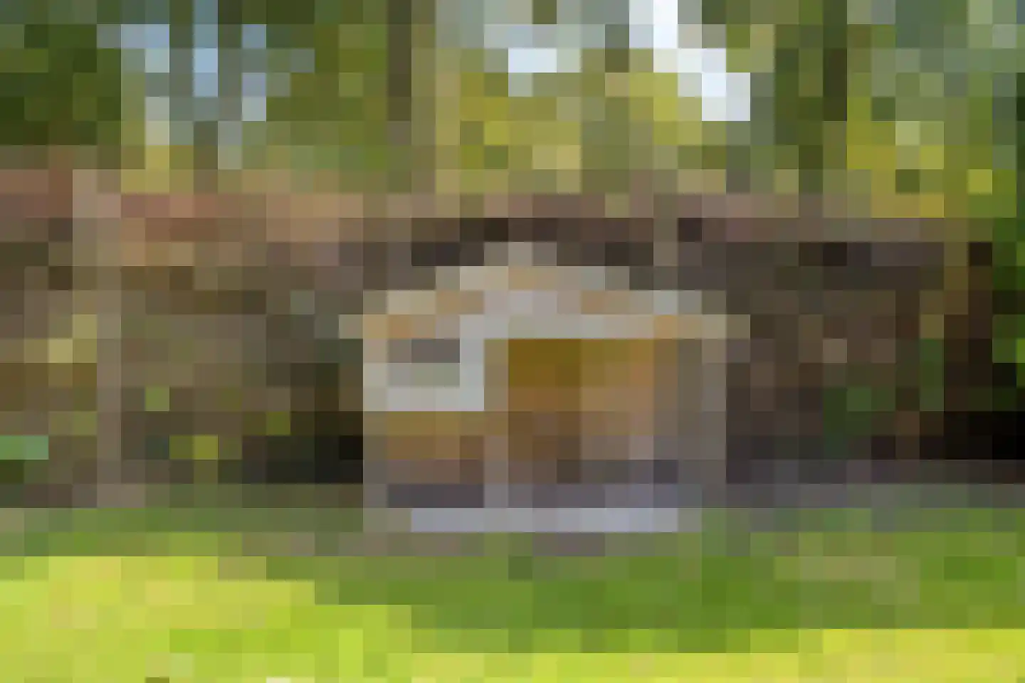 Triemsterloane 4 Kollumersweach thumbnail 62