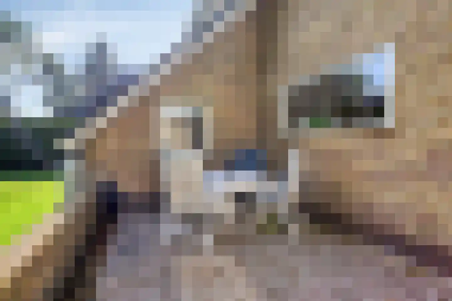 Triemsterloane 4 Kollumersweach thumbnail 66