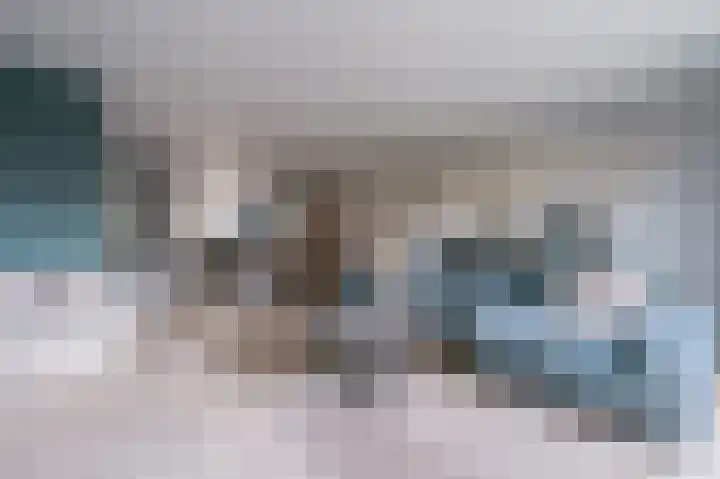 Trientje Timmerstraat 60 Putten thumbnail 8