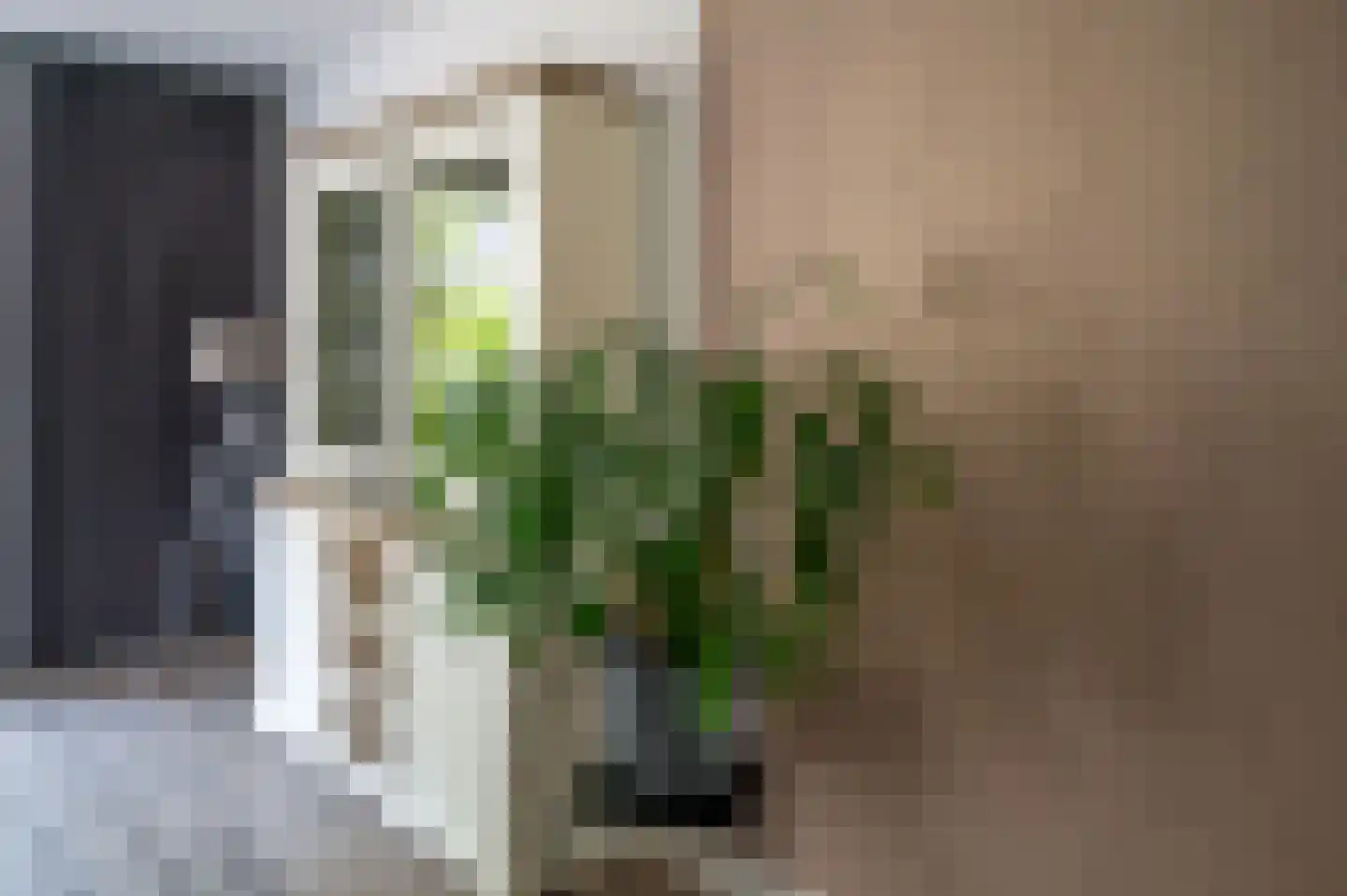 Trientje Timmerstraat 76 Putten thumbnail 12