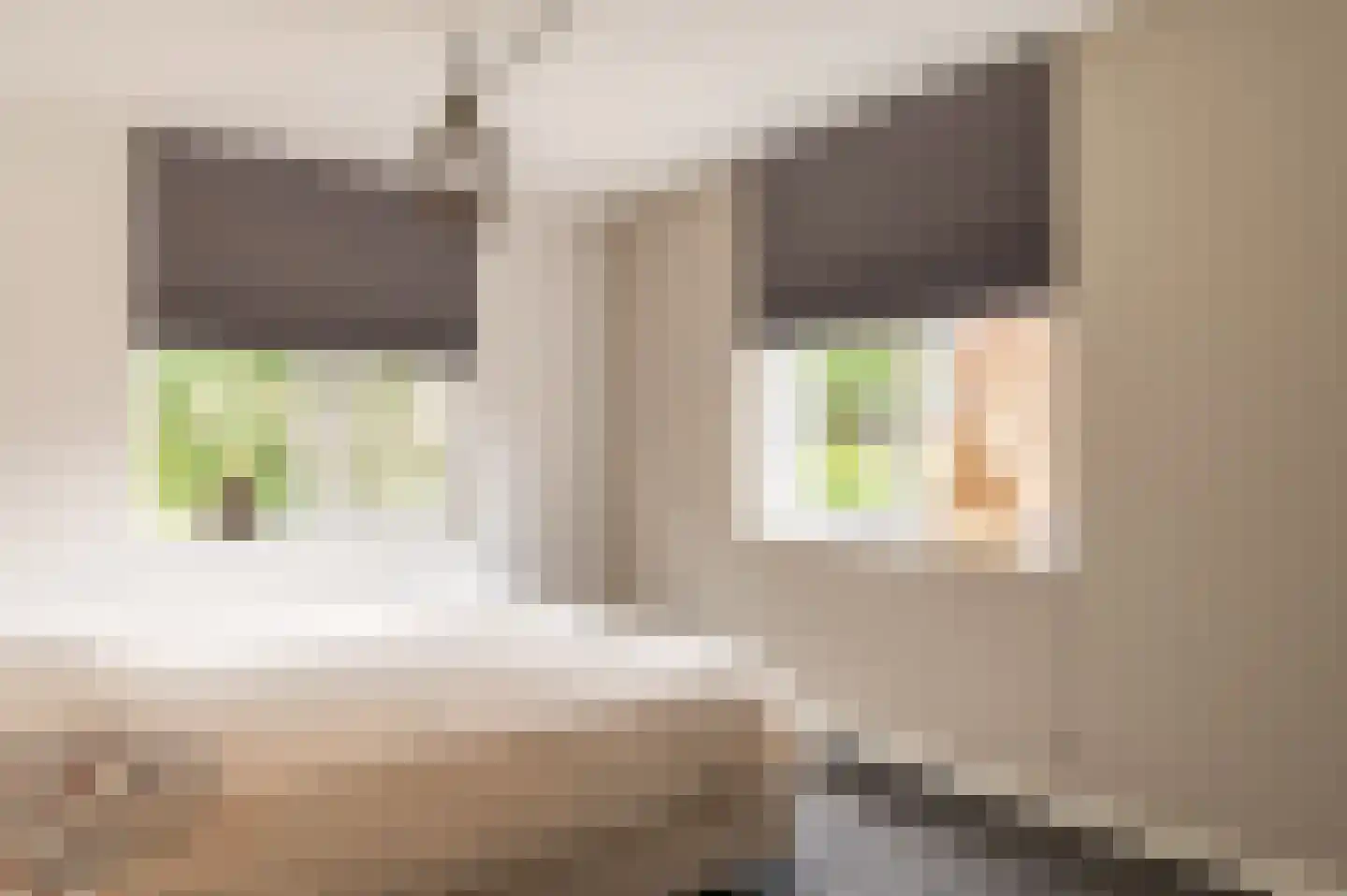 Trientje Timmerstraat 76 Putten thumbnail 24