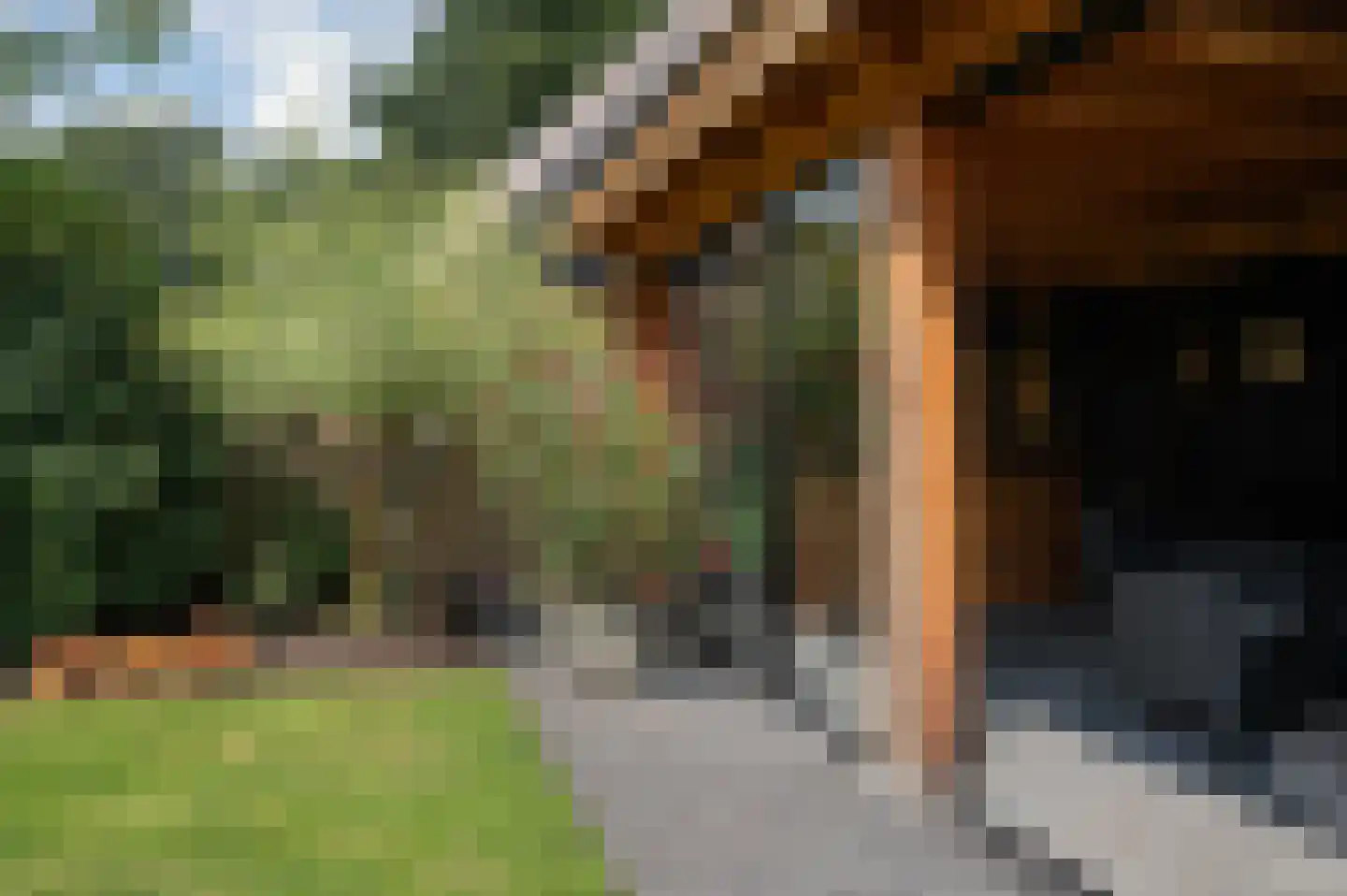 Trientje Timmerstraat 76 Putten thumbnail 49