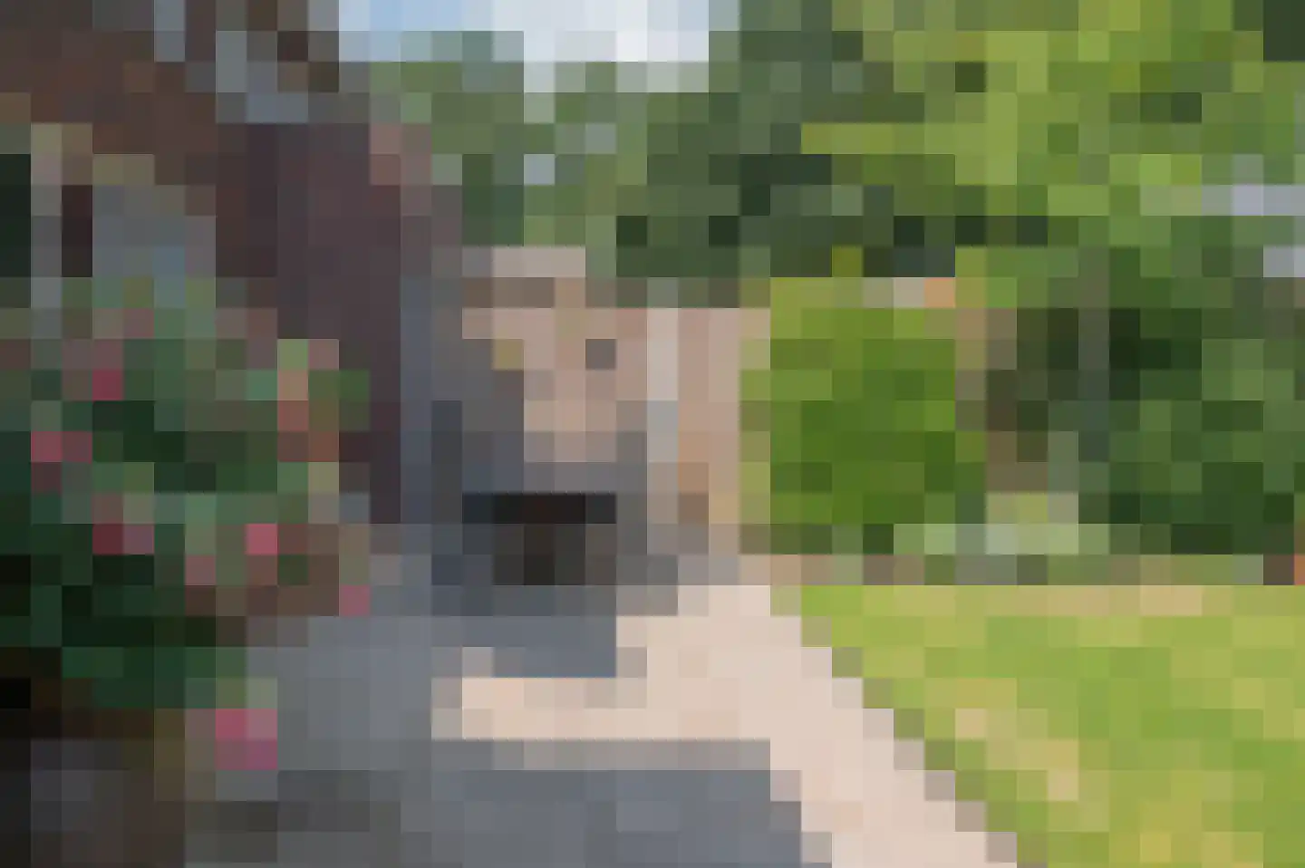 Trientje Timmerstraat 76 Putten thumbnail 52