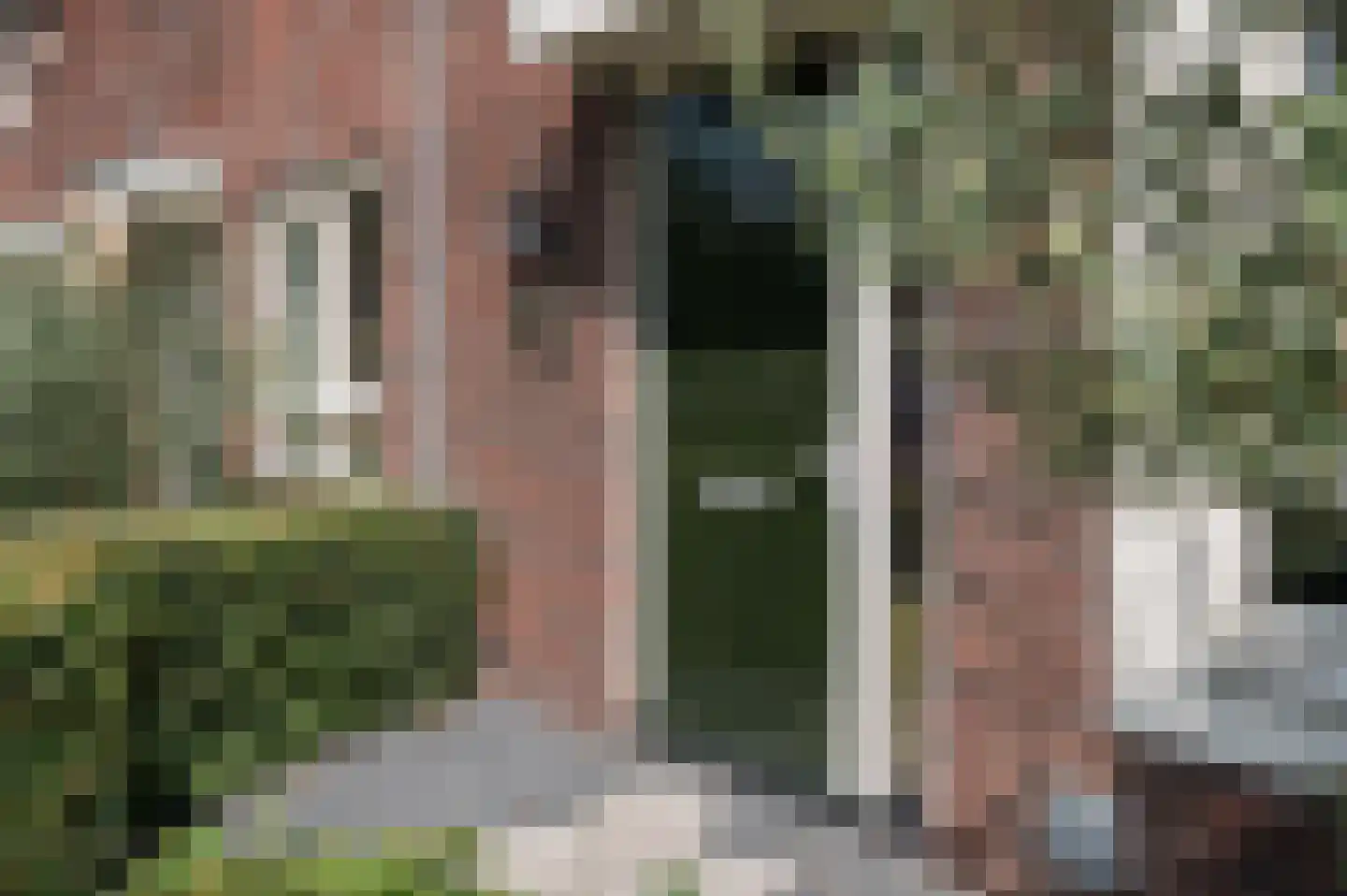 Trientje Timmerstraat 76 Putten thumbnail 57