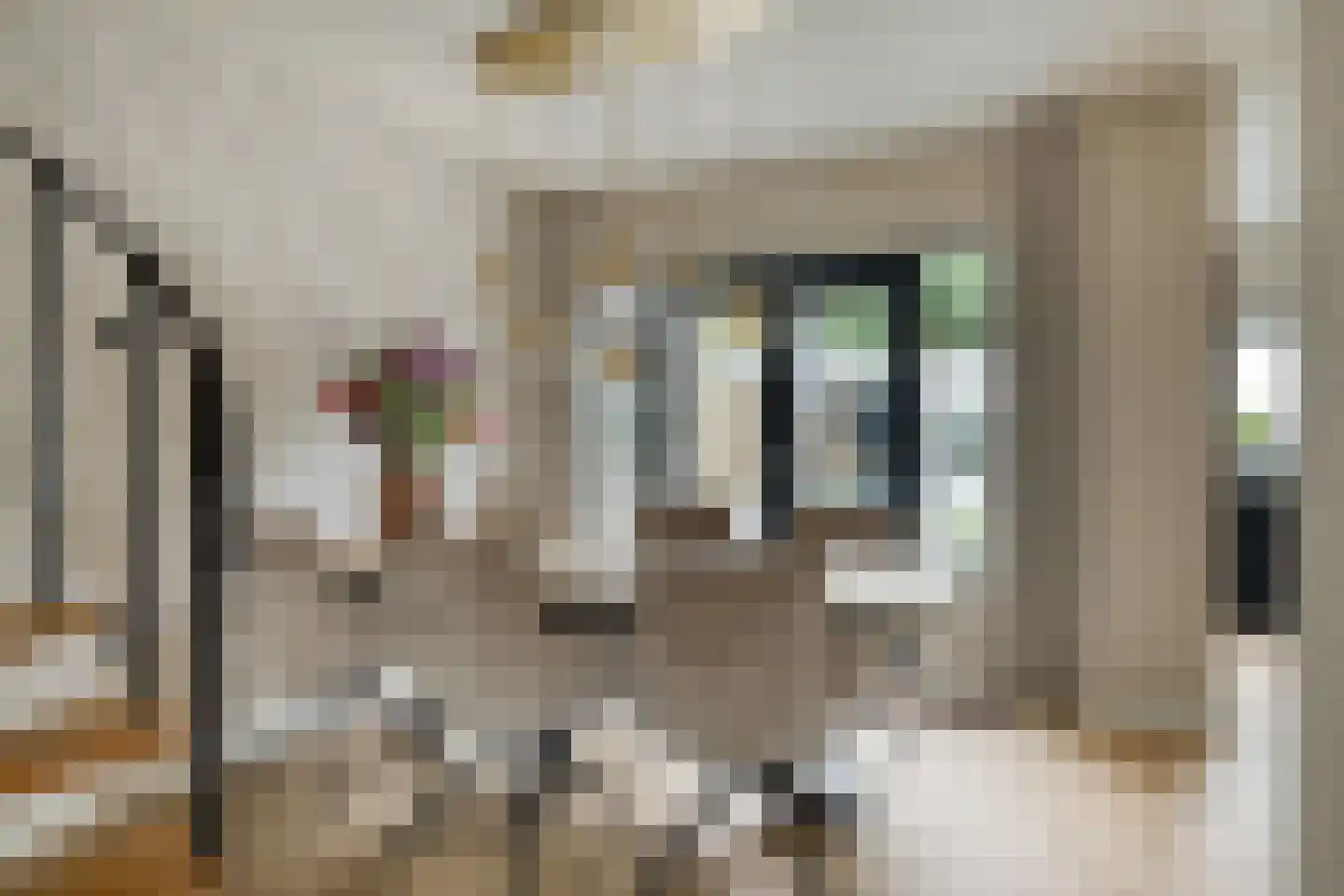 Triestplein 21 Sint-Michielsgestel thumbnail 8