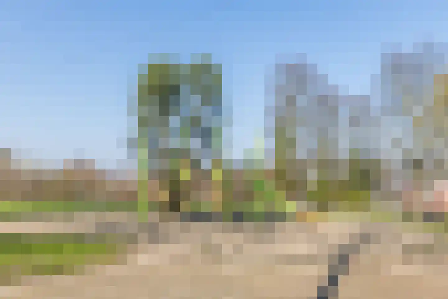 Trigoniaerf 9 Heerlen thumbnail 35