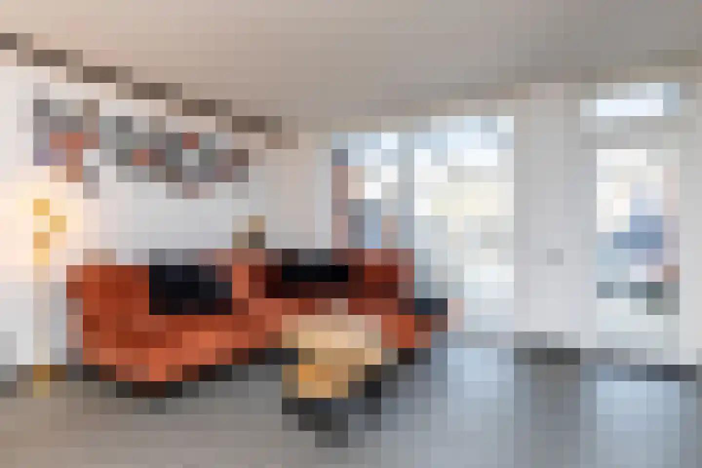 Trigoniaerf 9 Heerlen thumbnail 7