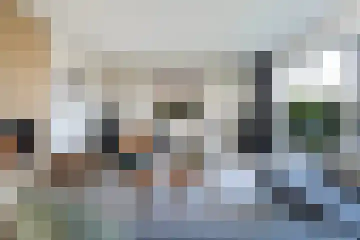 Trijegea 71 Scharsterbrug thumbnail 18