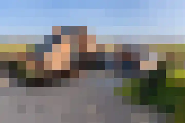 Trijegea 71 Scharsterbrug foto 3