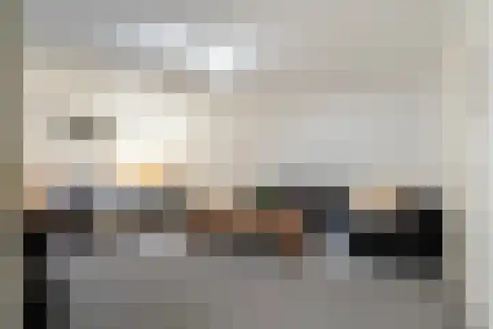 Trijegea 71 Scharsterbrug thumbnail 31